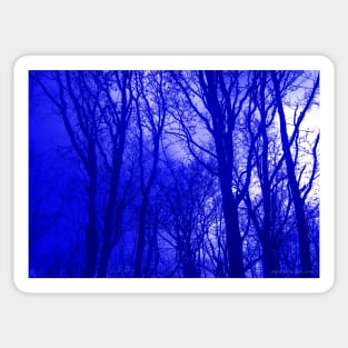 VELVET WOOD: Blue Sticker